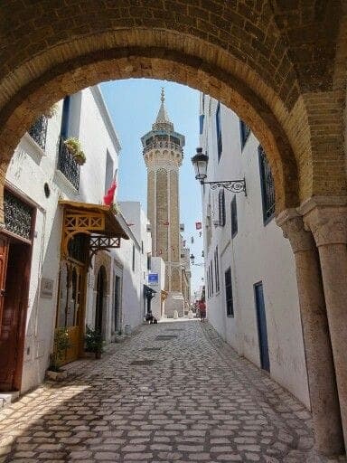 تونس 8 ايام