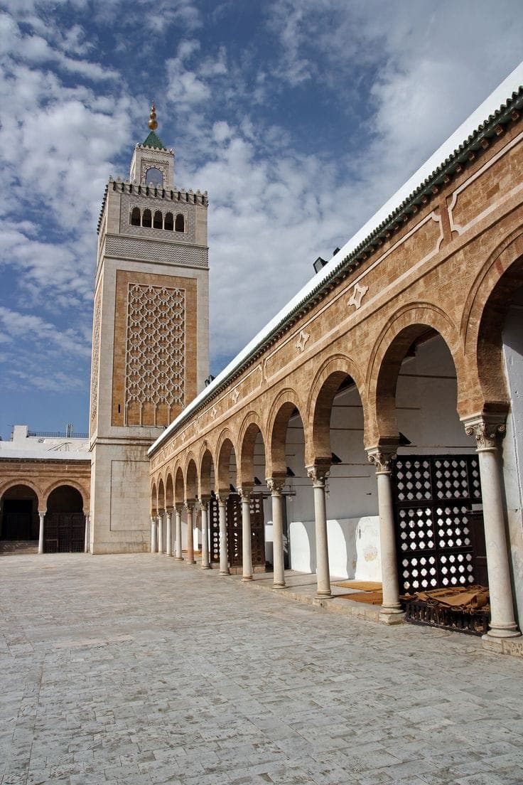 تونس + حمامات - 8 أيام